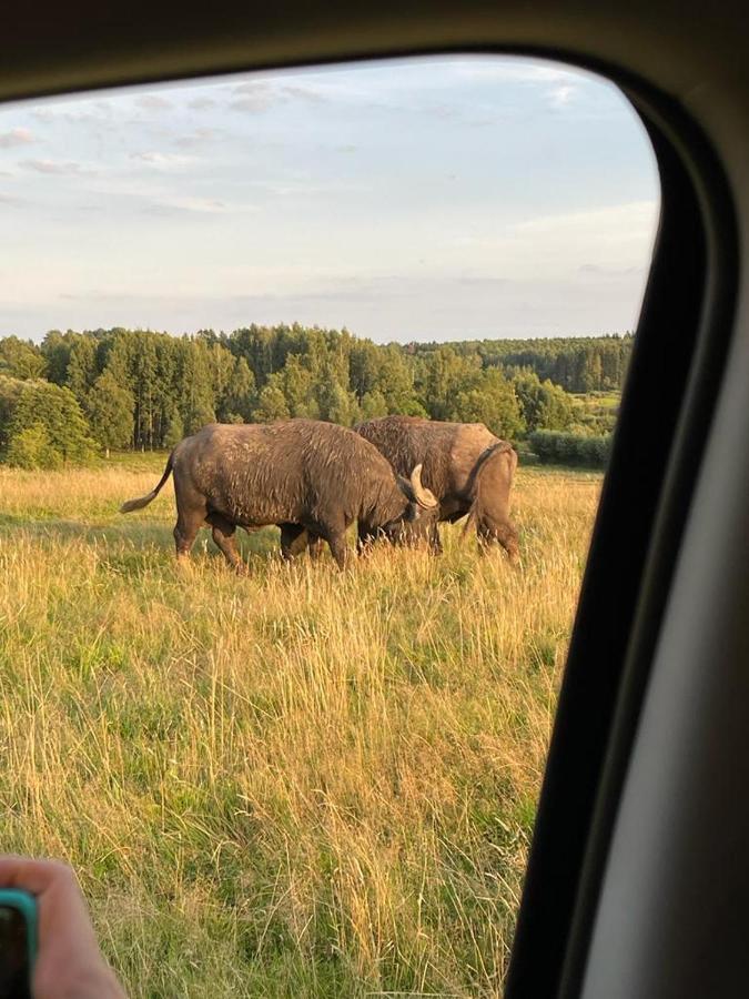 Osada Jacwingow Villa Gołdap Buitenkant foto